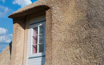 Elworthy thatch roof disadvantages